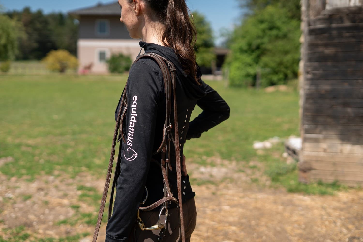 Reiten mit feinsten Hilfen. Eine Übung für besseres Timing.